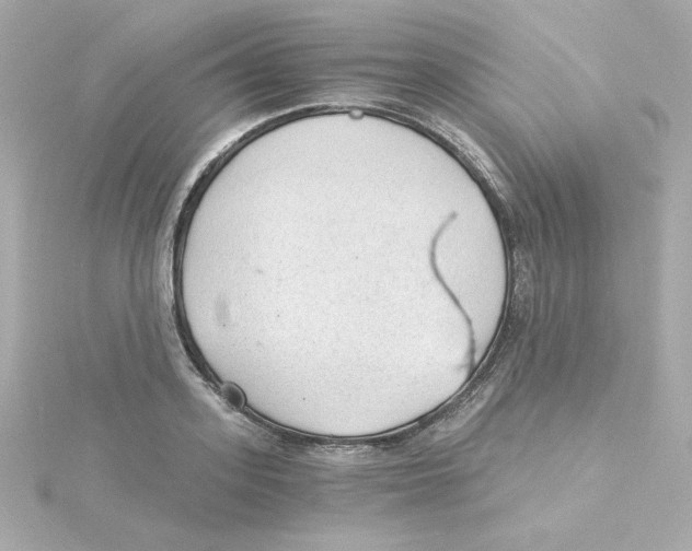 X0000115260939200911271923