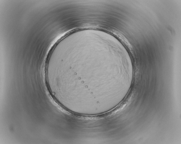 X0000115260941200911271923