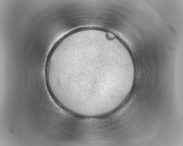 X0000115260943200911271923