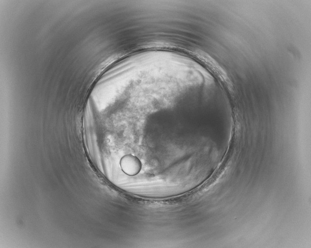 X0000115260945200911271923