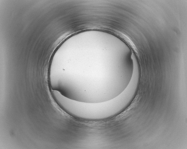 X0000115260946200911271923