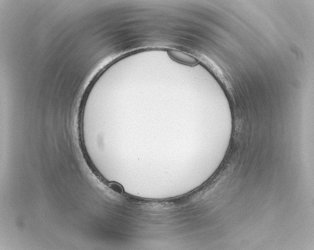 X0000115260947200911271923