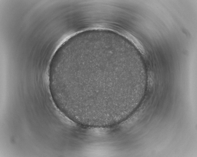 X0000115260950200911271923