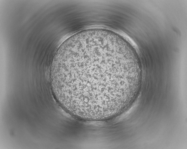 X0000115260953200911271923