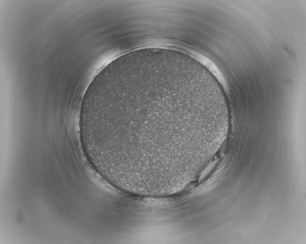 X0000115260954200911271923