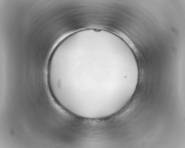 X0000115260955200911271923