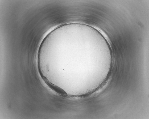 X0000115260957200911271923