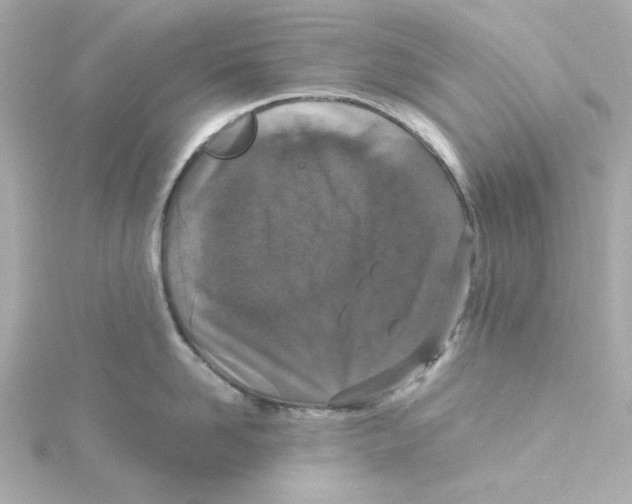 X0000115260958200911271923