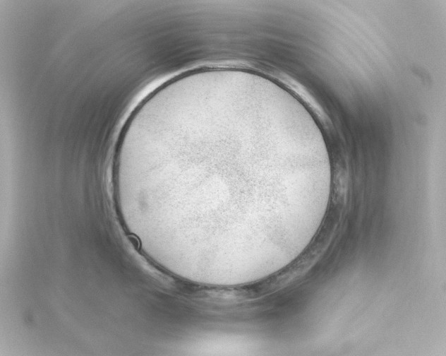 X0000115260959200911271923