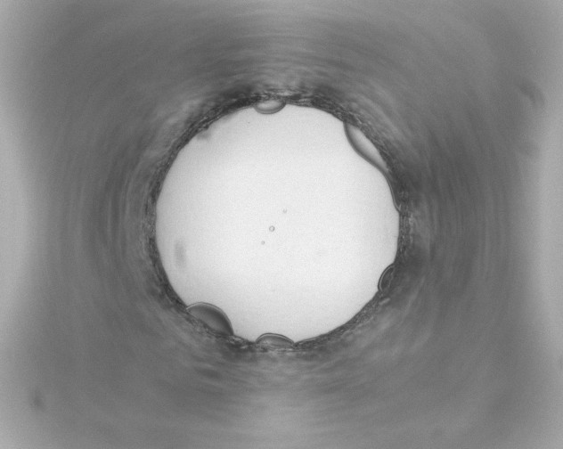 X0000115260961200911271922