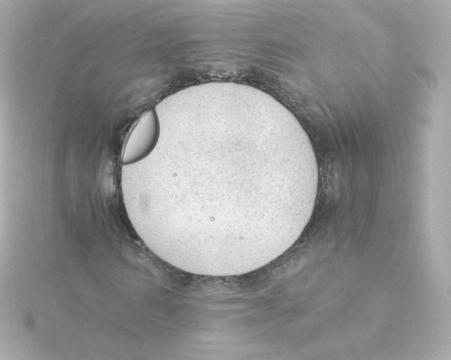 X0000115260962200911271922