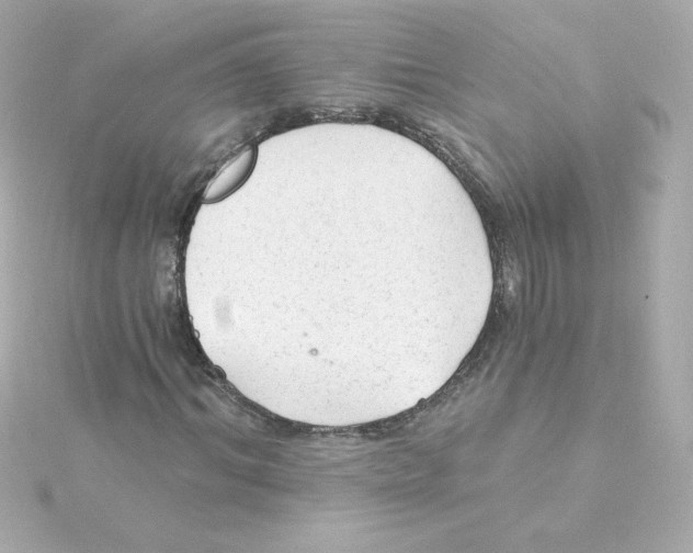 X0000115260964200911271922