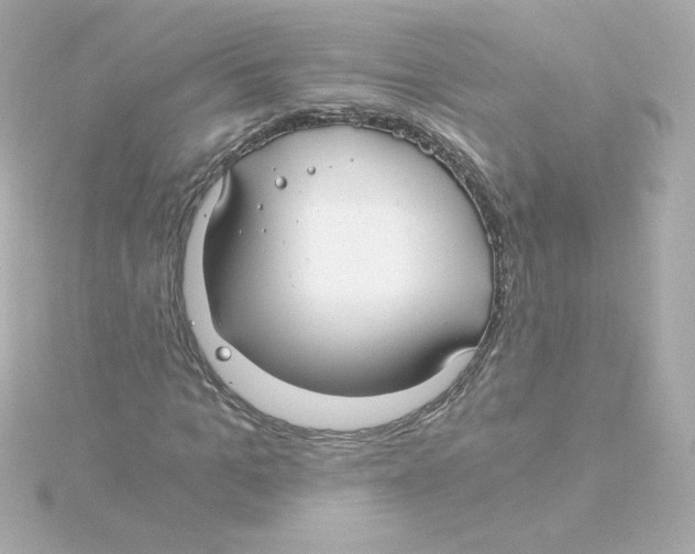 X0000115260965200911271922