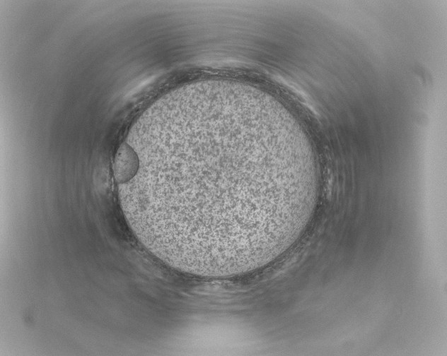 X0000115260966200911271922