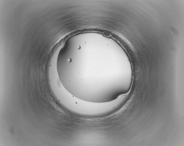 X0000115260969200911271922