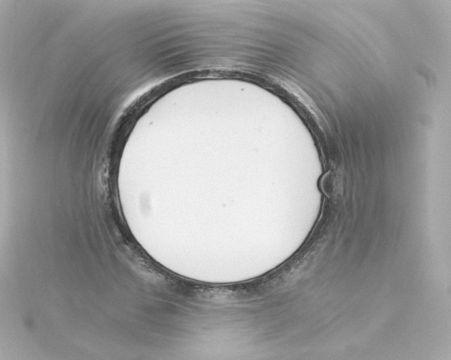 X0000115260971200911271922