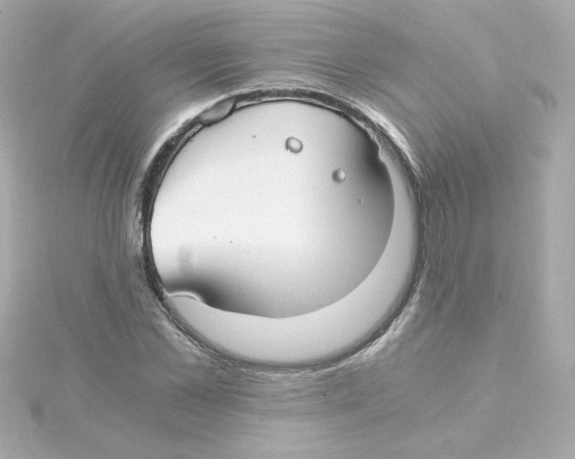 X0000115260973200911271922