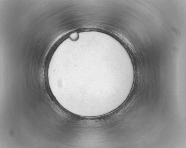 X0000115260976200911271922