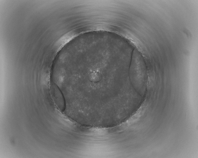 X0000115260977200911271922