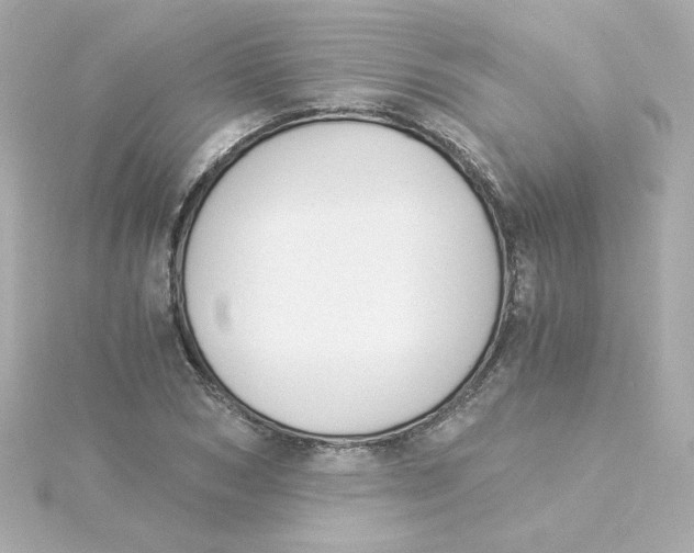 X0000115260978200911271922