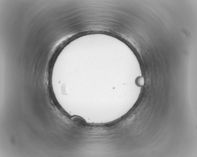 X0000115260979200911271922