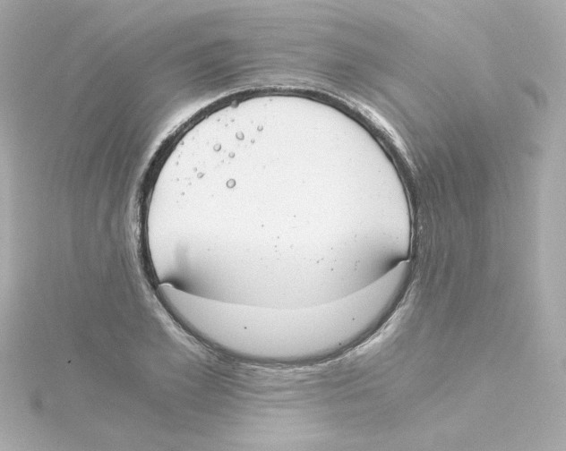 X0000115260981200911271922