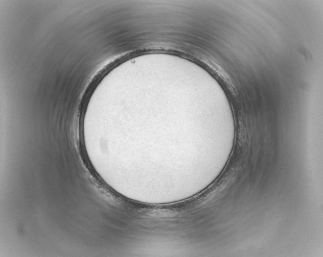 X0000115260984200911271922