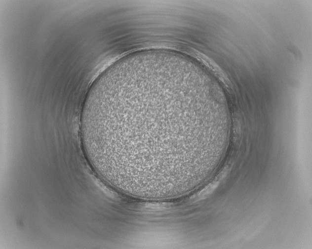 X0000115260985200911271922