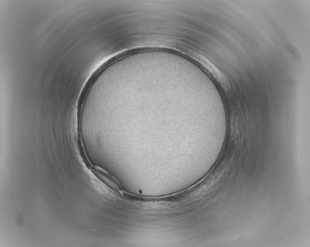 X0000115260988200911271922