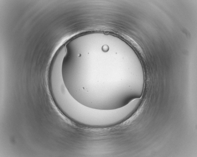 X0000115260989200911271922