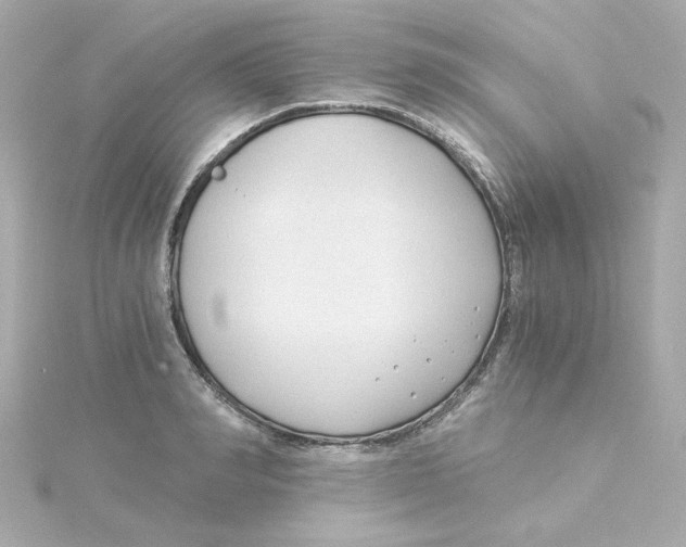 X0000115260990200911271922