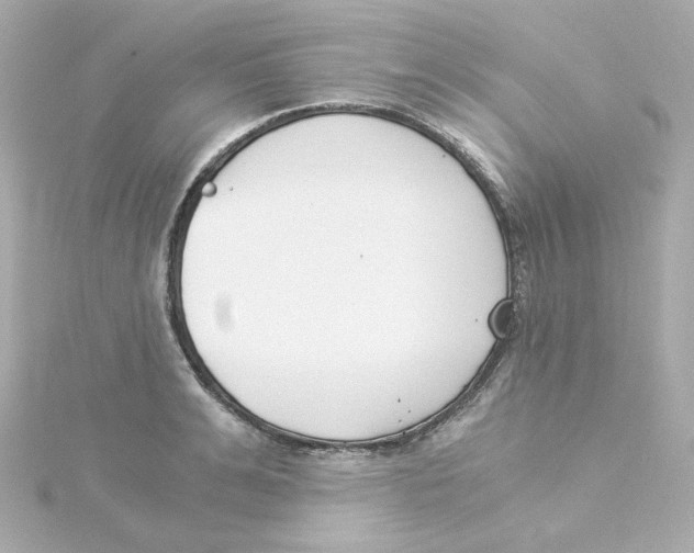 X0000115260991200911271922