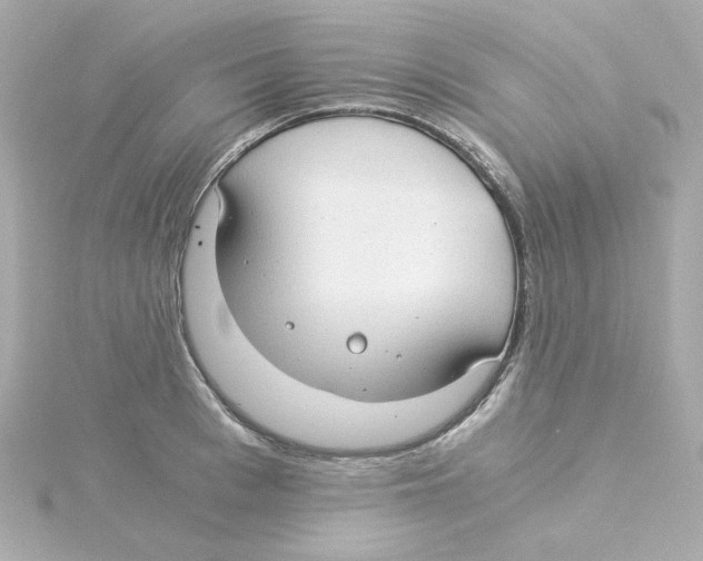 X0000115260993200911271922