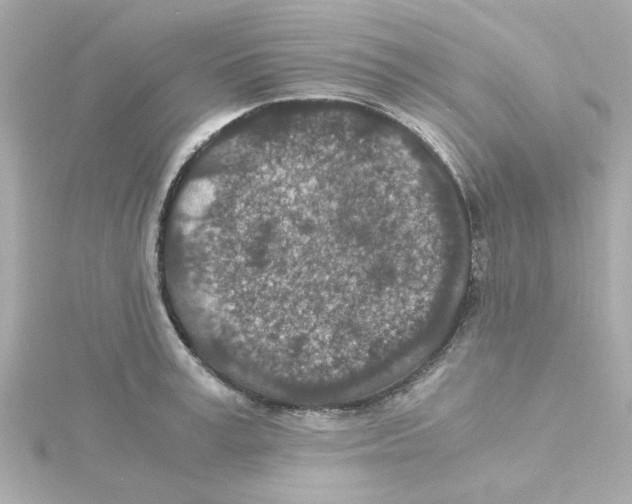 X0000115260995200911271922