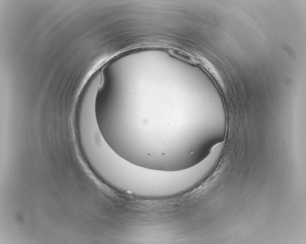 X0000115260997200911271922