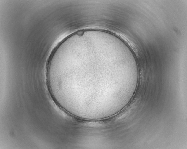 X0000115260998200911271922