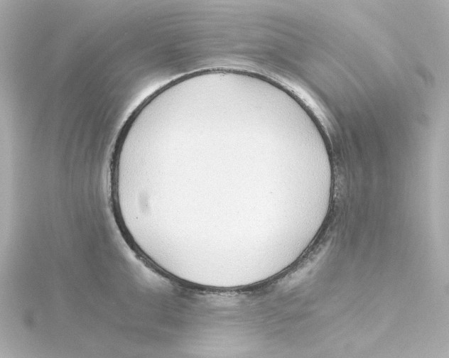 X0000115260999200911271922