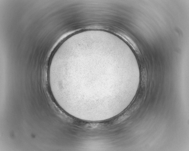 X0000115261000200911271922