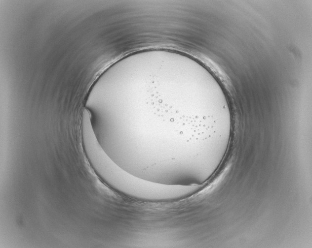 X0000115261001200911271922