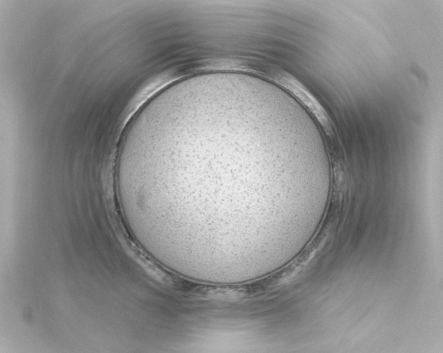 X0000115261002200911271922