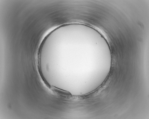 X0000115261003200911271922