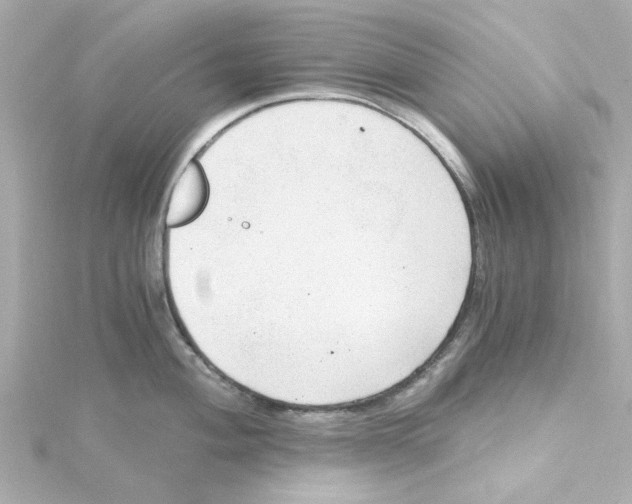 X0000115261004200911271922