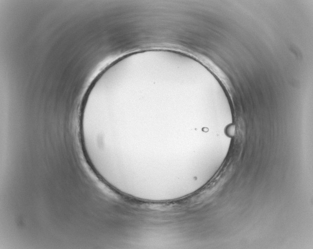 X0000115261005200911271922