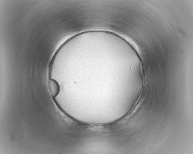 X0000115261006200911271922