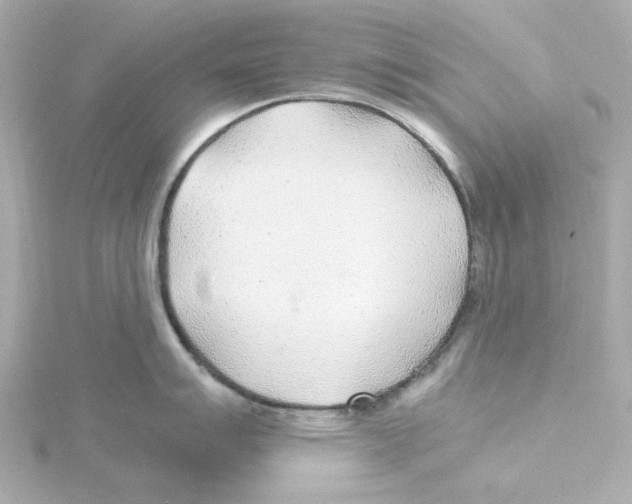 X0000115261007200911271922