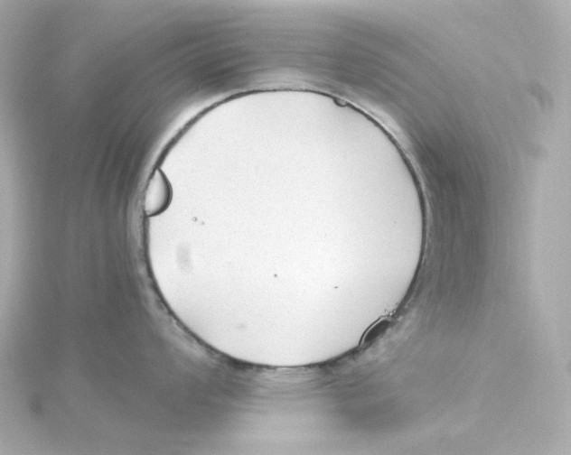 X0000115261008200911271922