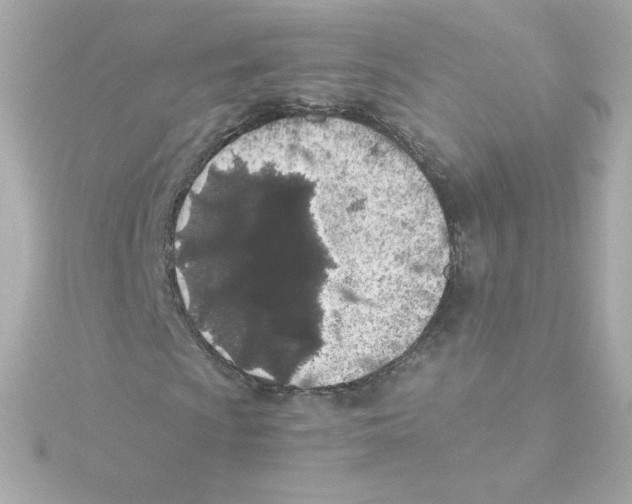 X0000115261009200911271921