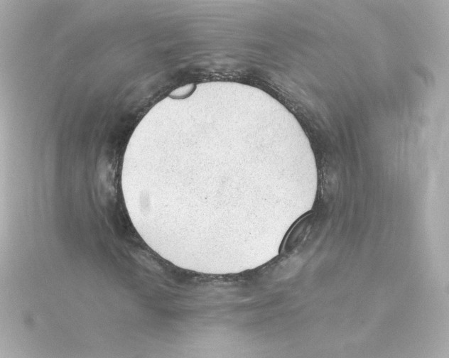 X0000115261010200911271921