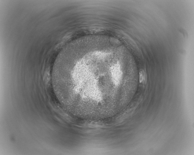 X0000115261011200911271921