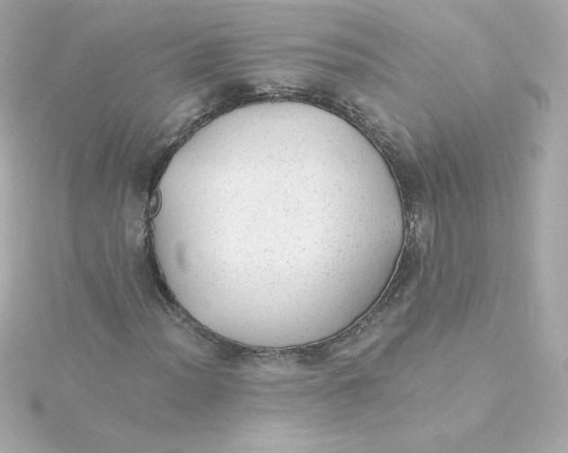 X0000115261012200911271921